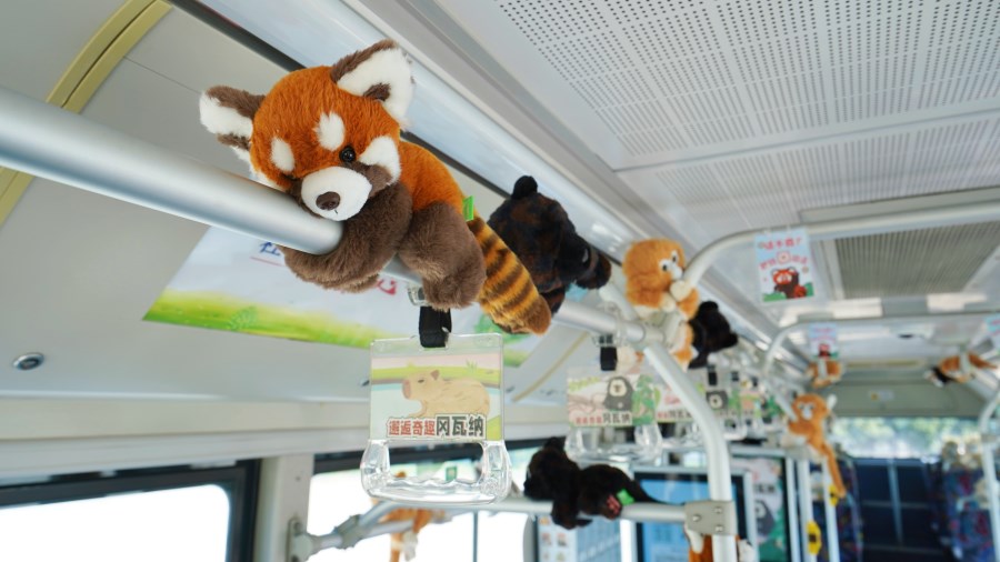 DSC01949.JPG DSC01949.JPG